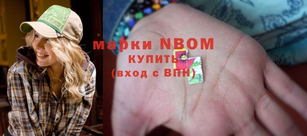 мдпв Мостовской