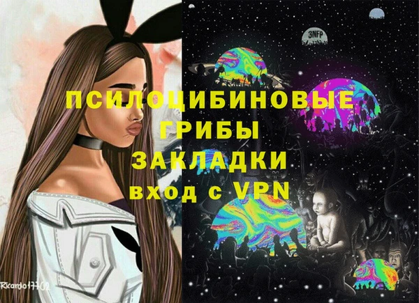 тгк Михайловск