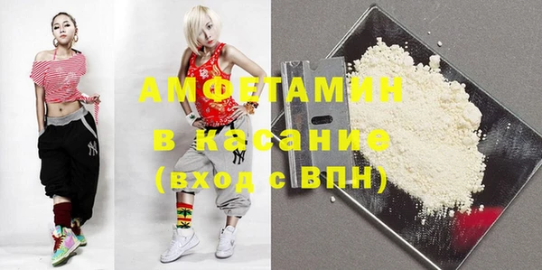 индика Михайловка
