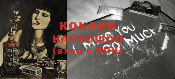 индика Михайловка