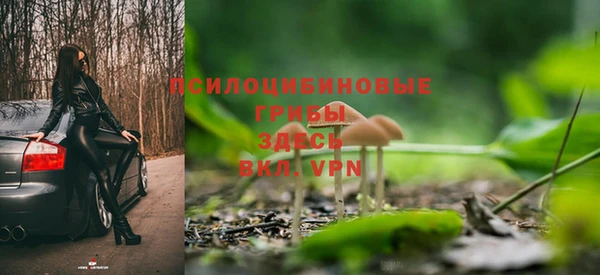 тгк Михайловск