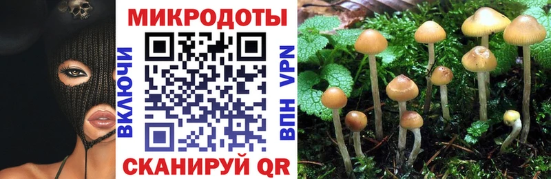 наркотики  Севастополь  Псилоцибиновые грибы ЛСД 
