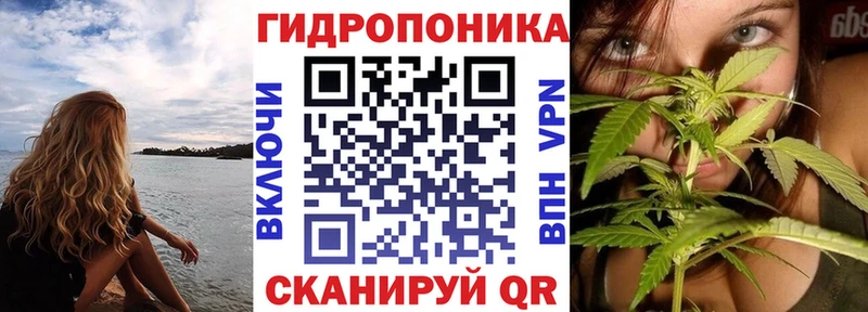 Конопля марихуана  Севастополь 
